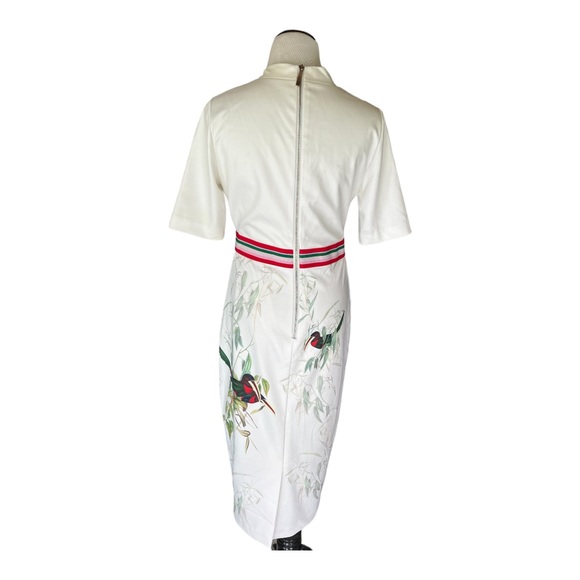 Ted Baker Molilo Tutti Frutti Dress- Ted Baker Size 2 (Size 6-8 in standard) - Picture 7 of 10